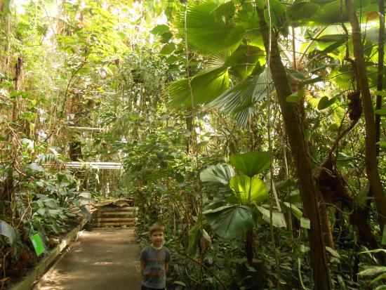 Palm House in Poznan